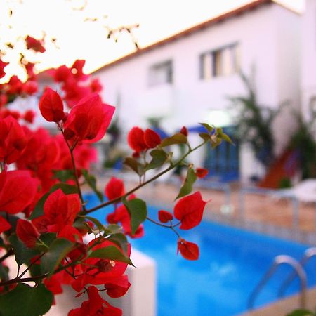 Iliana Hotel Pánormos エクステリア 写真