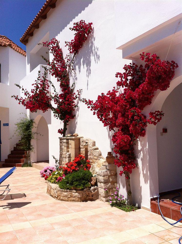 Iliana Hotel Pánormos エクステリア 写真
